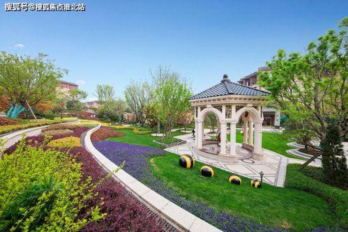 免費(fèi)大片在線觀看網(wǎng)站,盡在在線觀影天堂 第3張 免費(fèi)大片在線觀看網(wǎng)站,盡在在線觀影天堂 第3張