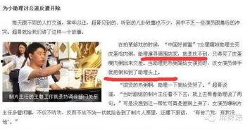 文安何小姐最新爆料,揭秘娛樂(lè)圈驚人內(nèi)幕