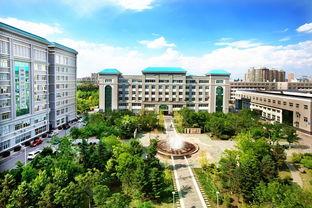沈陽大學最新爆料,揭秘校園風云與變革歷程  第3張
