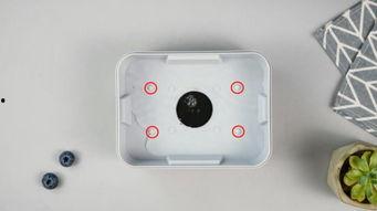 一次性飯盒爆料視頻,視頻爆料背后的環保與衛生真相  第3張