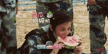 娛樂吃瓜地,吃瓜群眾背后的故事  第3張