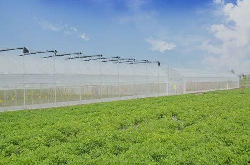 農(nóng)場(chǎng)最新爆料,最新爆料揭示農(nóng)業(yè)產(chǎn)業(yè)變革新動(dòng)向  第3張