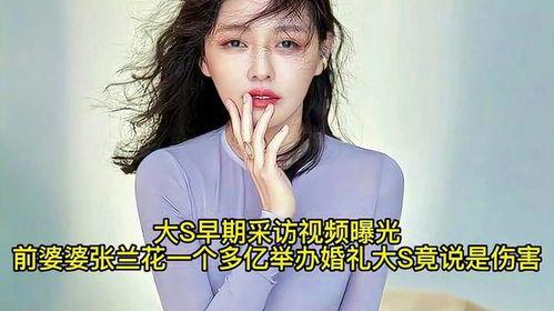 爆料婆婆視頻下載,揭秘家庭矛盾背后的真相  第2張