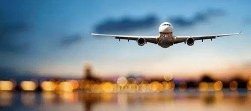 飛機吃瓜最新事件爆料,揭秘航班上的驚人一幕  第3張