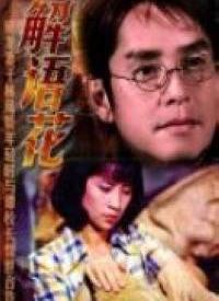 解語花 在線觀看,穿越時空的浪漫傳奇  第1張