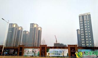 北湖新區最新爆料,揭秘未來城市新地標誕生記  第1張