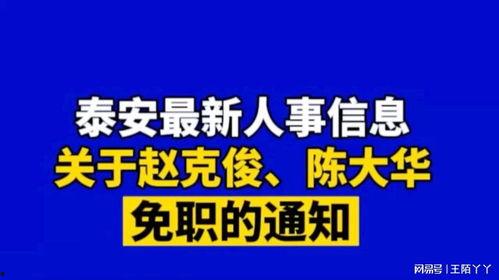 大華爆料視頻最新消息,揭秘事件背后驚人真相