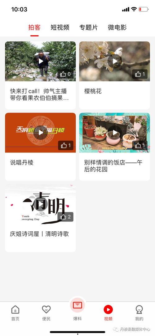 青帝最新爆料新聞網下載,揭秘網絡下載背后的秘密與挑戰  第2張