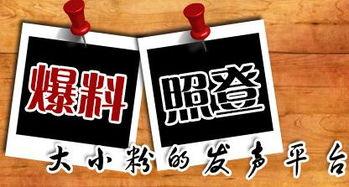 新聞大爆料粒子,新聞大爆料帶你探索微觀世界的奇跡  第1張