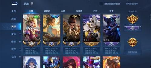 大喬至尊皮膚爆料視頻,揭秘游戲界新寵  第3張