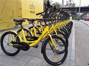 自行車新配件爆料視頻播放,自行車新配件爆料視頻深度解析  第3張