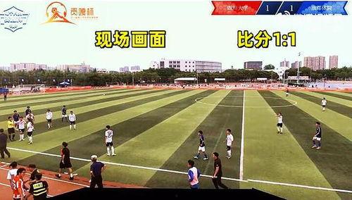 成都體育學院爆料視頻最新,揭秘校園內幕，真相令人震驚