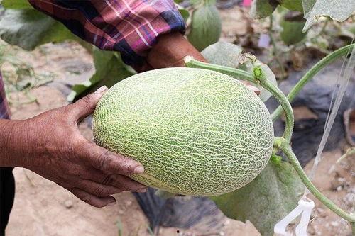 近期宿遷網(wǎng)紅吃瓜合集,盤點近期熱門事件  第1張