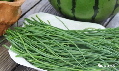 網紅吃瓜大集合圖片,一場視覺盛宴的狂歡時刻  第2張