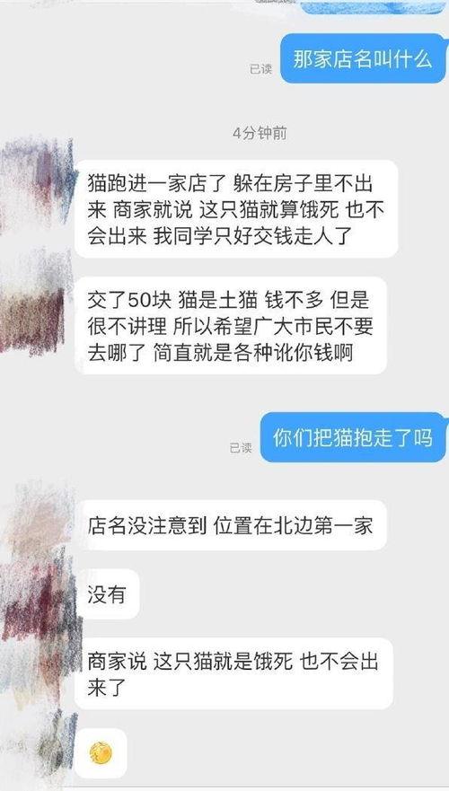 保定寵物店爆料視頻,揭秘寵物行業背后真相  第3張