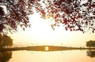 斷橋爆料技巧視頻大全,揭秘高效信息獲取秘籍  第2張