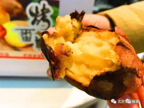 太原金虎最新爆料,揭秘金虎集團全新戰略布局與市場動向