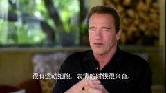 阿諾視頻爆料最新,揭秘娛樂圈最新內(nèi)幕，獨(dú)家猛料來(lái)襲！