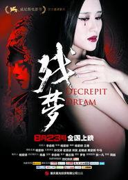 殘夢電影在線觀看,穿越時空的奇幻之旅  第3張