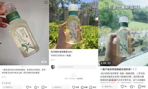 東方樹葉最新爆料,揭秘茶飲界的綠色革命  第3張