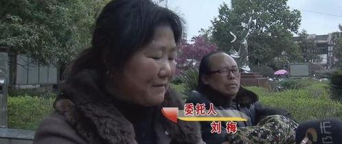 爆料婆婆視頻大全集,揭秘家庭生活點滴