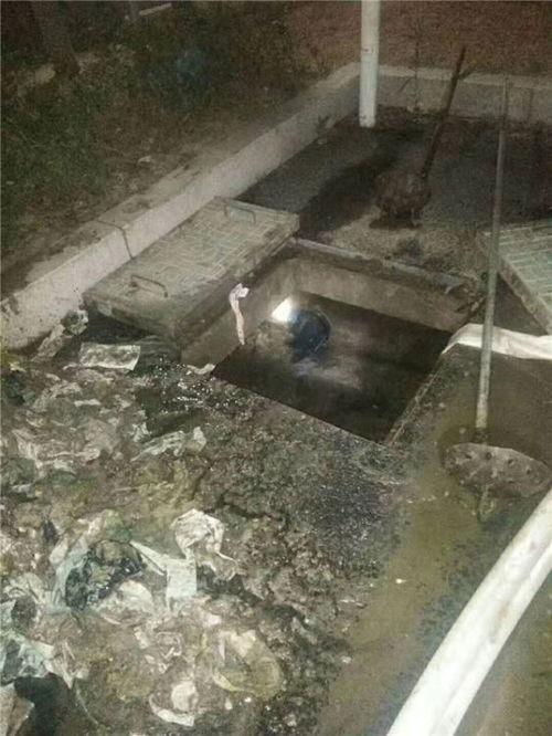 河津市百底村爆料新聞最新消息 第3張 河津市百底村爆料新聞最新消息 第3張