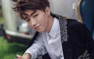 楊柳爆料王俊凱視頻完整版,王俊凱視頻完整版幕后故事大公開  第2張