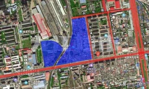 哈爾濱道外區(qū)最新爆料,揭秘神秘事件背后的真相  第2張